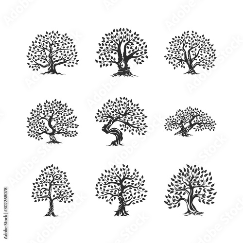 Beautiful magnificent olive tree silhouette icon set isolated on white. Modern virgin natural plant vector sign collection. Premium quality illustration organic ecological logo design emblem bundle.