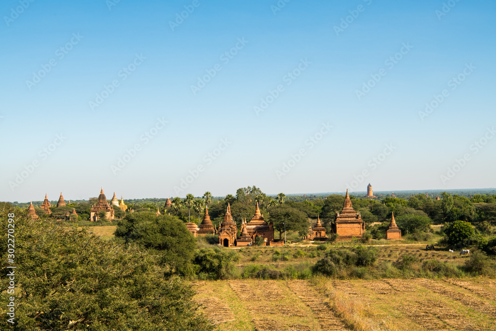 Bagan IV
