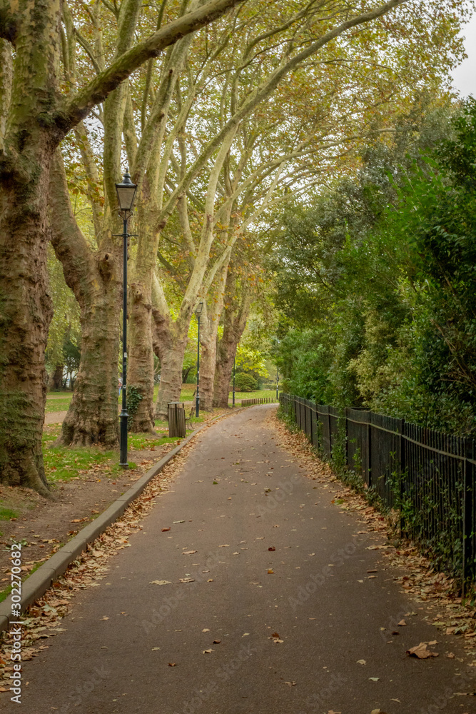 Fototapeta premium A Path Through an English Park in Autumn