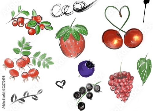 set of berries on white background 