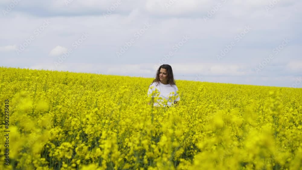 Young female walking through blooming rape field in sunny day. Woman moving toward the camera among stems covered yellow flowers full-length girl in white shirt smiling and enjoying freedom at nature Young female walking through blooming rape field in sunny day. Woman moving toward the camera among stems covered yellow flowers full-length girl in white shirt smiling and enjoying freedom at nature