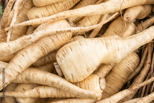 Piles of fresh parsnips at the market photo