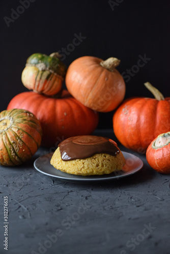 Homemade pumpkin dessert. Steam pudding with chocolate glaze and bright winter squashes on black background