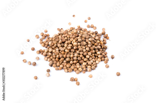 Whole cilantro coriander seed spice herb for cooking