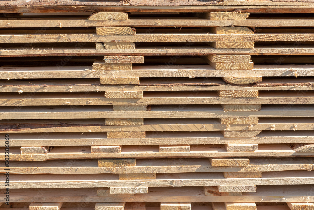 Set of stacked wood pine timber for construction. Stack of wood planks for furniture materials. Wood timber Set of stacked wood pine timber for construction. Stack of wood planks for furniture materials. Wood timber