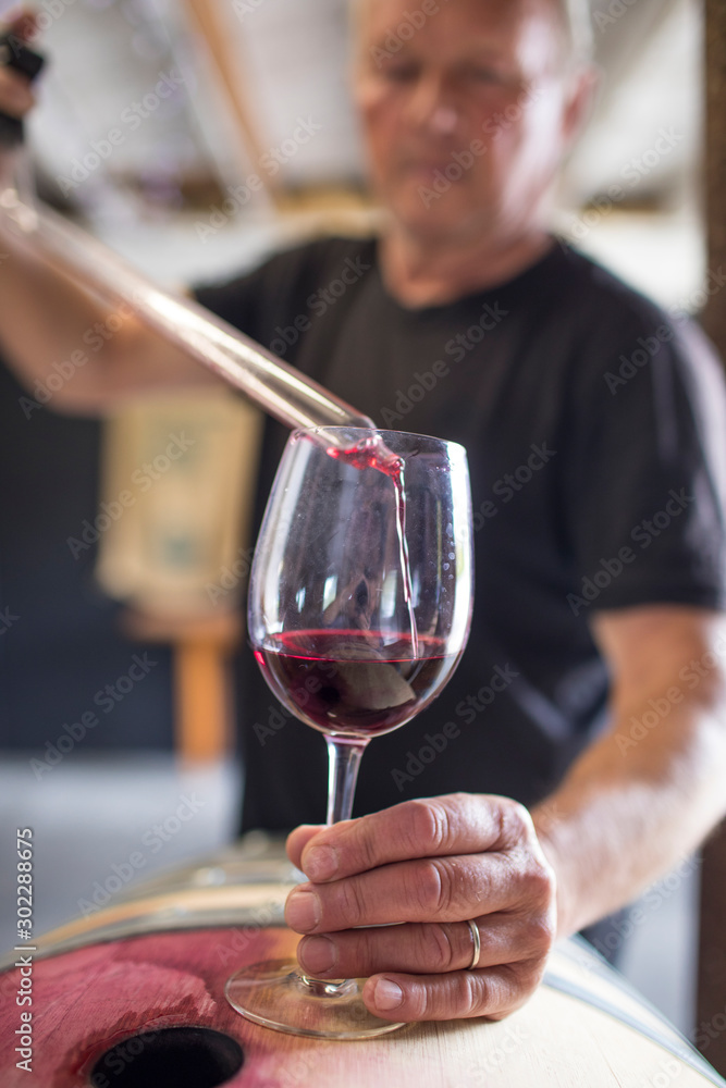sommelier pours wine into a glass from a barrel using a pipette sommelier pours wine into a glass from a barrel using a pipette