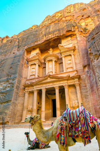 Camels in front of Al-Kazneh, the Treasury, Petra, Jordan photo