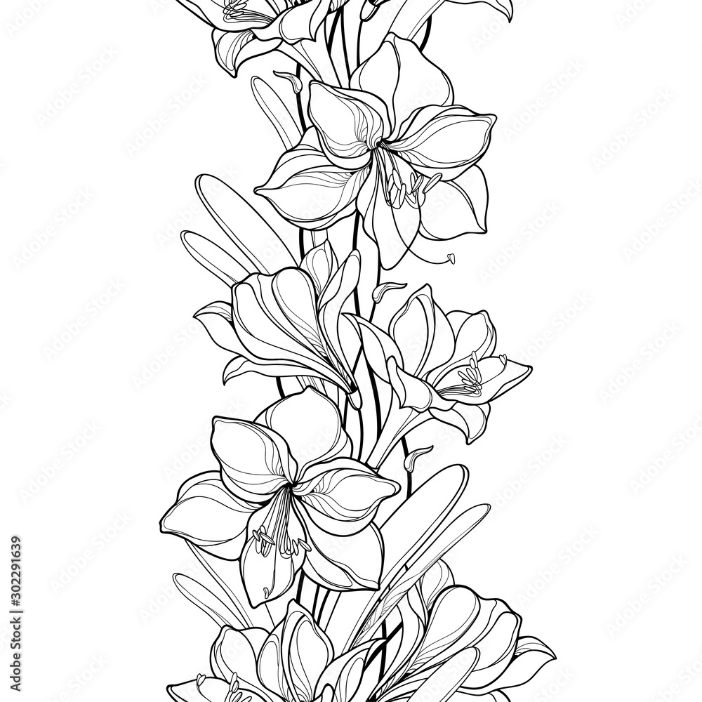 Vertical seamless pattern with outline Amaryllis or belladonna Lily flower and leaf in black on the white background. 