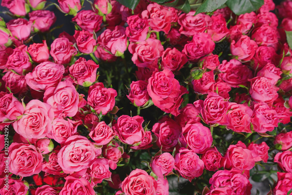 Obraz premium bouquet of pink roses as background