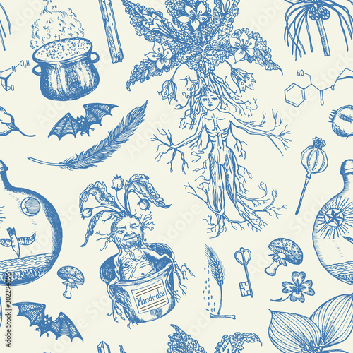 Mythical mandrake plant. Seamless pattern in vintage style. Fantasy magic flower and ingredients for witchcraft. Hand drawn engraved old retro sketch. Vector illustration.