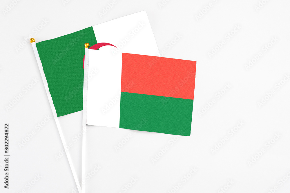 Madagascar and Algeria stick flags on white background. High quality fabric, miniature national flag. Peaceful global concept.White floor for copy space. Madagascar and Algeria stick flags on white background. High quality fabric, miniature national flag. Peaceful global concept.White floor for copy space.