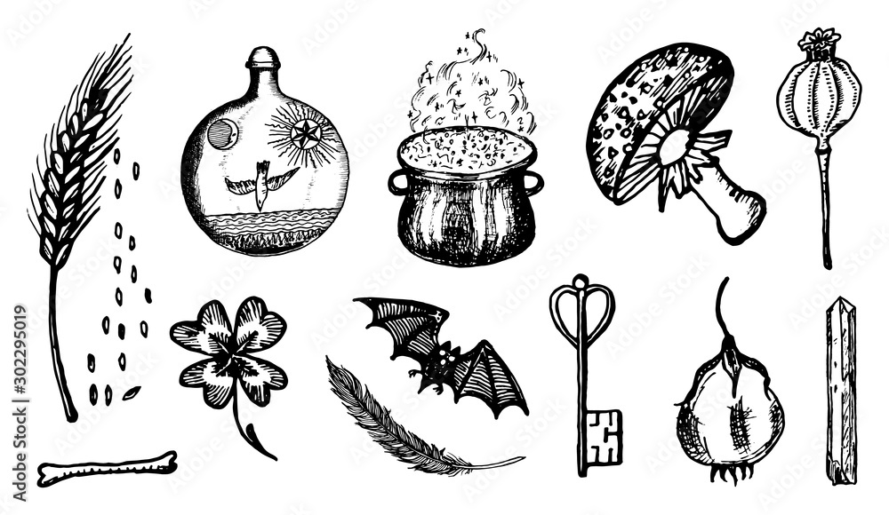 ingredients for witchcraft set in vintage style. Fantasy magic flower
