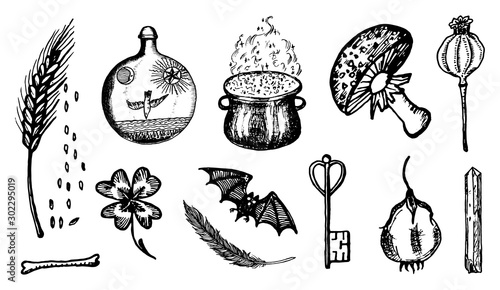 ingredients for witchcraft set in vintage style. Fantasy magic flower. Hand drawn engraved old retro sketch. Vector illustration.