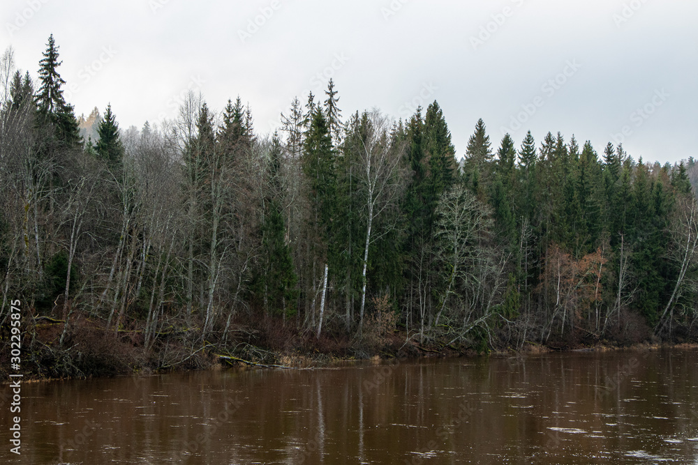 View to river Gauja with surrounding forest on a misty November day in Sigulda in Latvia View to river Gauja with surrounding forest on a misty November day in Sigulda in Latvia
