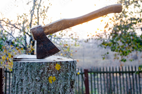 An ax sticks out from a stump of a freshly cut tree. Felling trees. Wildlife conservation.