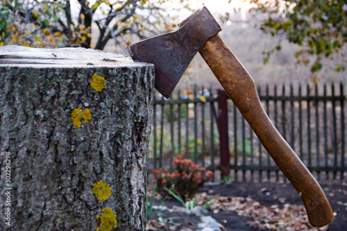 An ax sticks out from a stump of a freshly cut tree. Felling trees. Wildlife conservation.