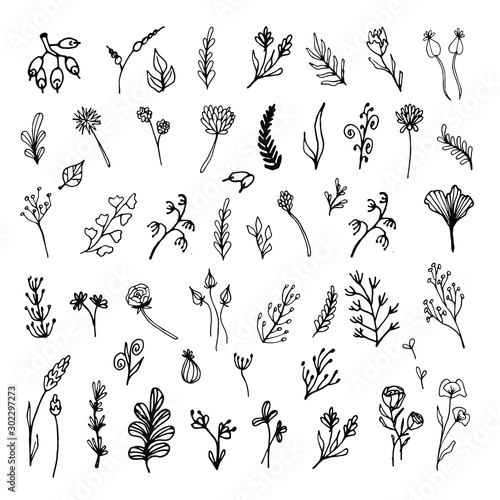 Set of hand drawn leaves, flowers, herbs. Black and white floral elements. Natural illustration with simple plants for wallpaper, scrapbooking, wrapping paper, wedding design, logo & greeting card.