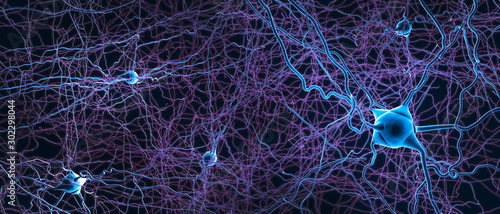 Connected neurons or nerve cells- 3d illustrationtion photo