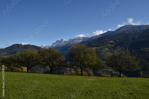 Autumn landscape with apple trees and mountains in back