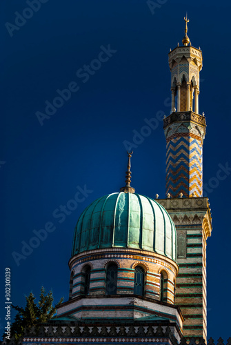 Details, dome and minaret  photo