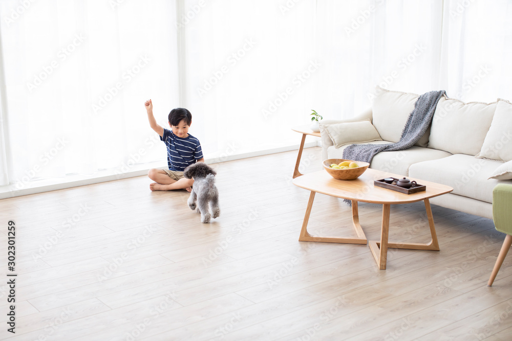 Little Chinese boy playing with dog in living room Little Chinese boy playing with dog in living room