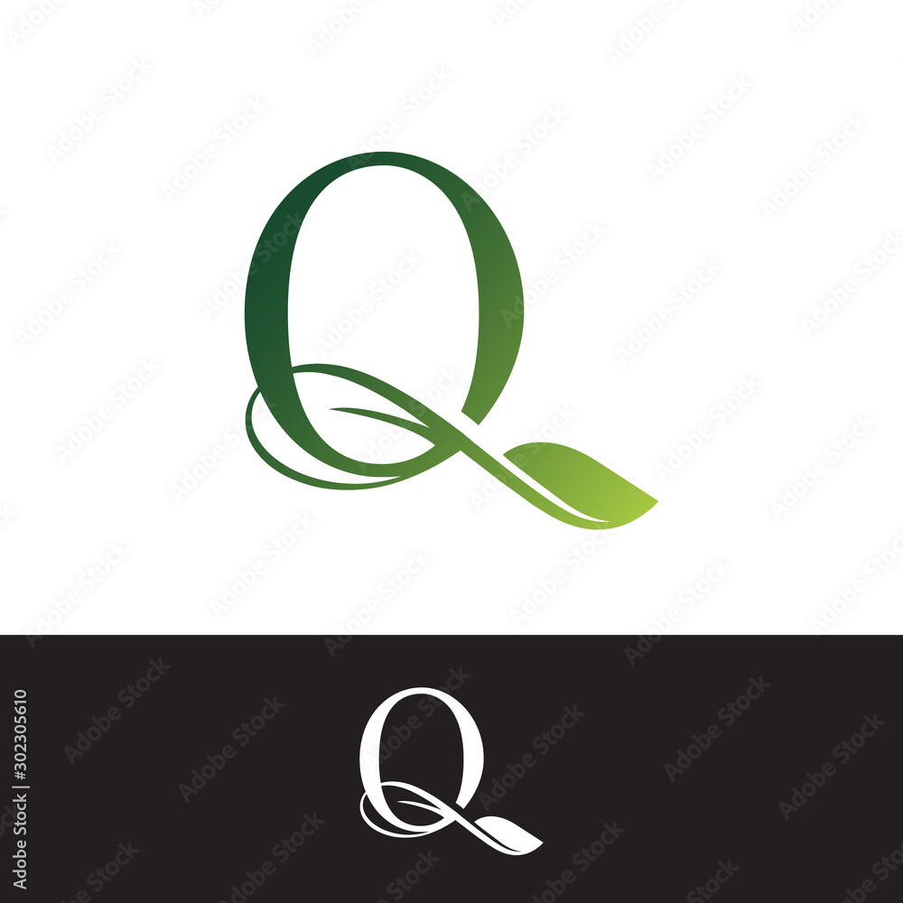 Obraz premium Luxury Tropical Nature Leaves letter Q logo.