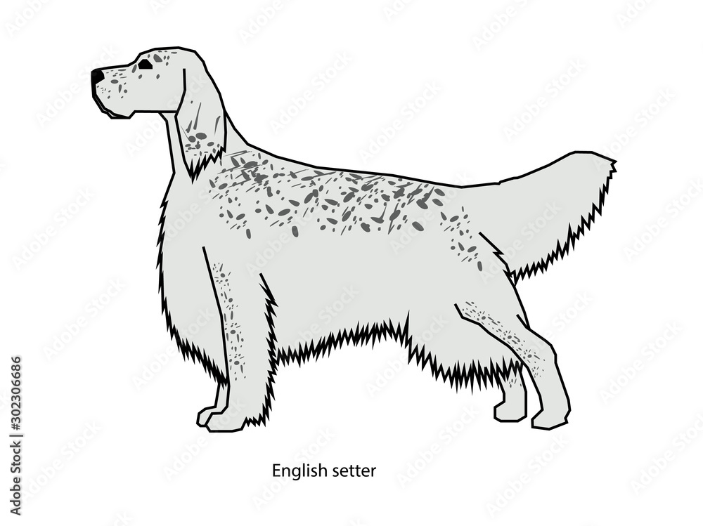 A dog vector illustration isolated