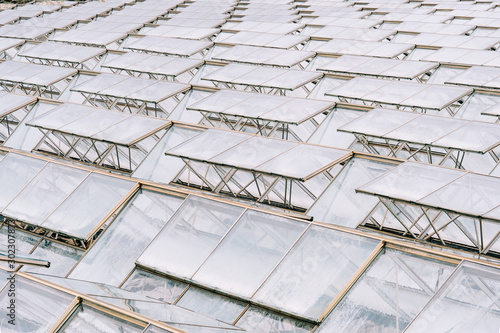 Glass greenhouse roofs in overcast weather