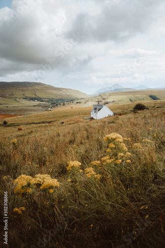 Picturesque landscape of lonely white building on meadow with blooming flowers by farmlands and high mountains on daytime