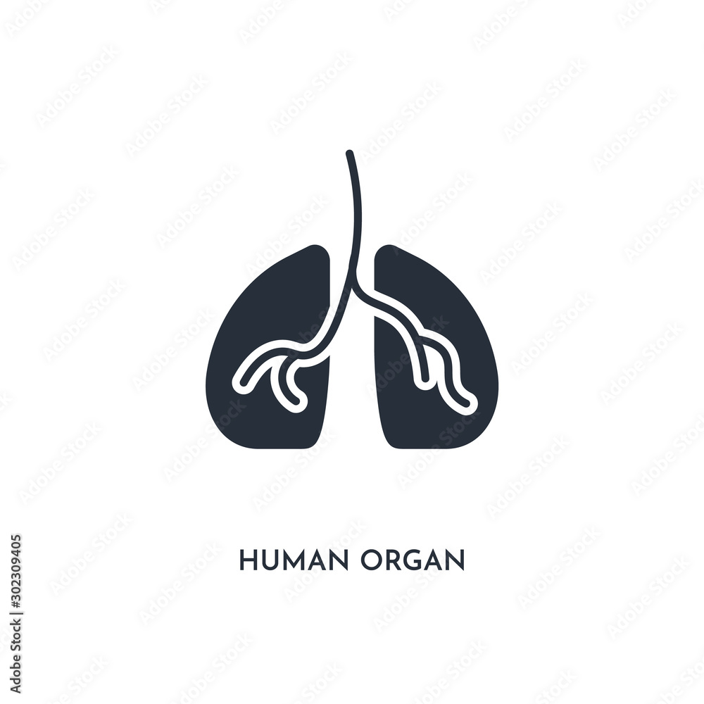 human organ icon. simple element illustration. isolated trendy filled human organ icon on white background. can be used for web, mobile, ui. human organ icon. simple element illustration. isolated trendy filled human organ icon on white background. can be used for web, mobile, ui.