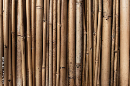 Close image of dry yellow bamboo twigs  natural texture  wallpaper