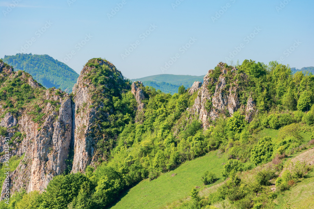 beautiful mountain landscape of apuseni. sunny springtime nature scenery with cliffs of Cheile Manastirii in alba country of romania