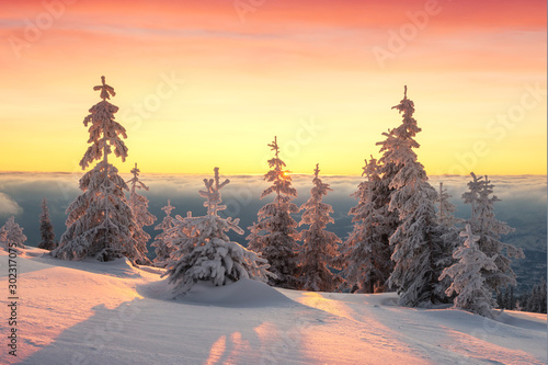 Fantastic orange winter landscape in snowy mountains glowing by sunlight. Dramatic wintry scene with snowy trees. Christmas holiday background