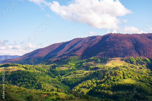 beautiful mountainous scenery in springtime. wonderful afternoon sunny weather with clouds on the blue sky. rolling hill with rural fields in green foliage of trees