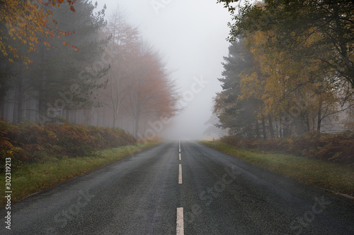 Cannock Chase forest middle of the road on a foggy misty autumn morning photo