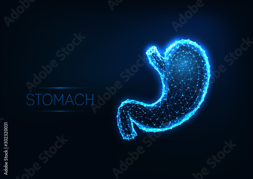 Futuristic glowing low polygonal human stomach isolated on dark blue background. photo