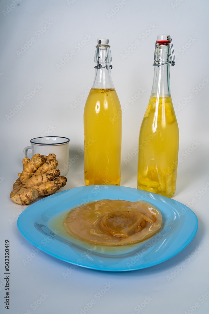 Mother Kombucha or SCOBY on a blue plate on a white background. Bottles of prepared kombucha and ginger.