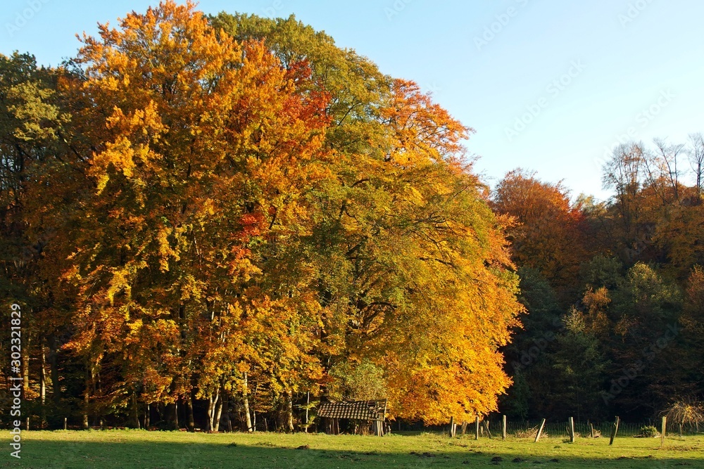 Herbstlandschaft, Holzhütte Herbstlandschaft, Holzhütte