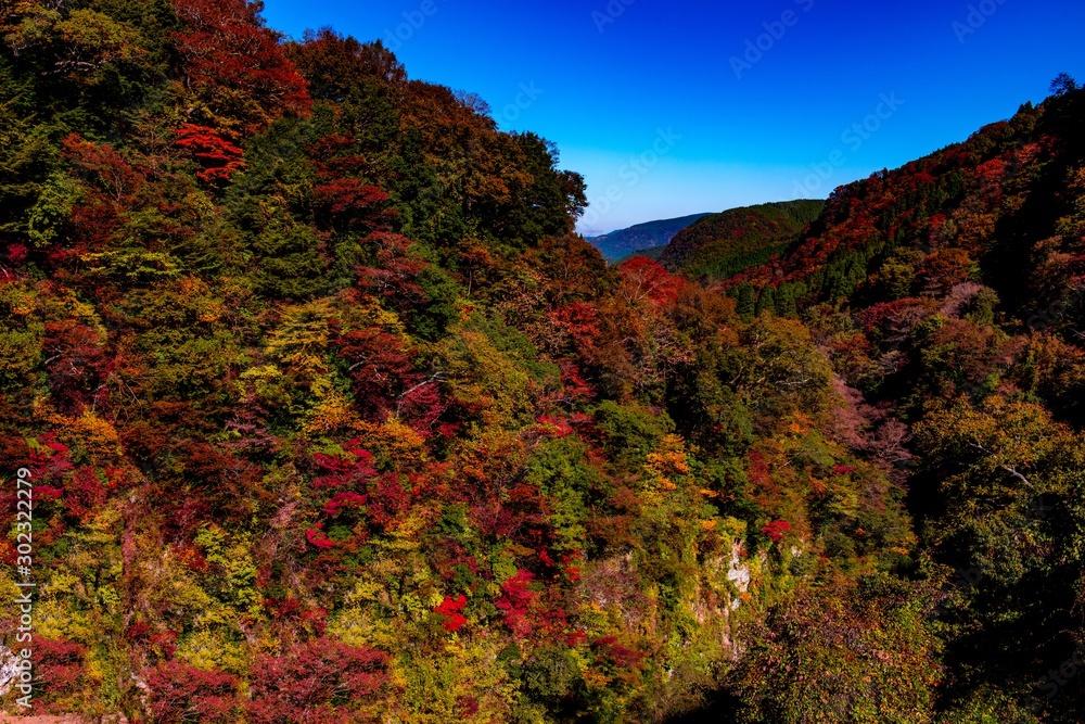 天ヶ谷渓谷の紅葉