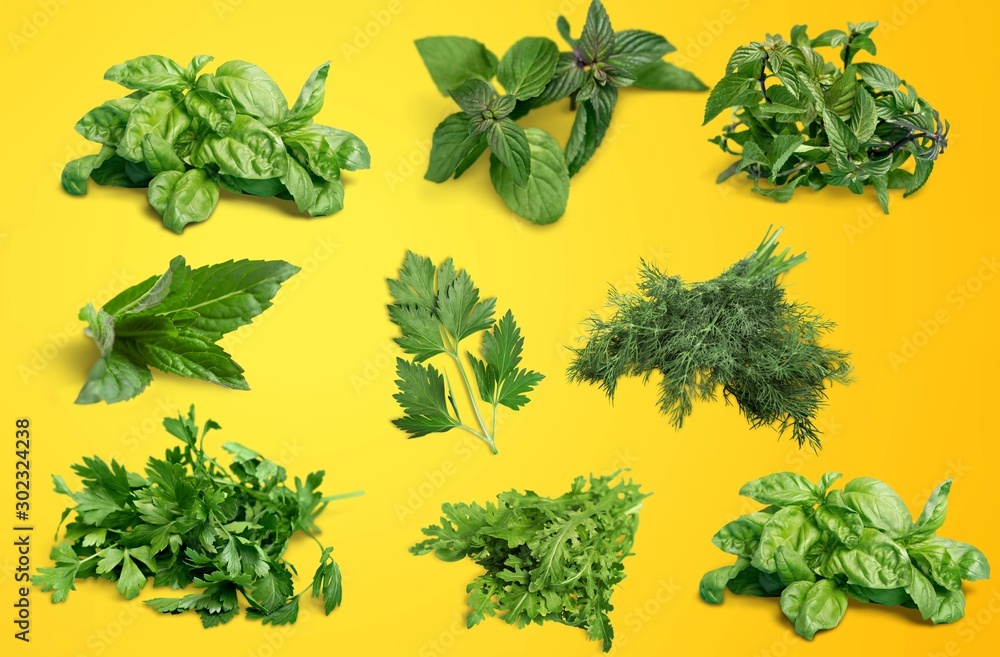 Obraz premium Herb.