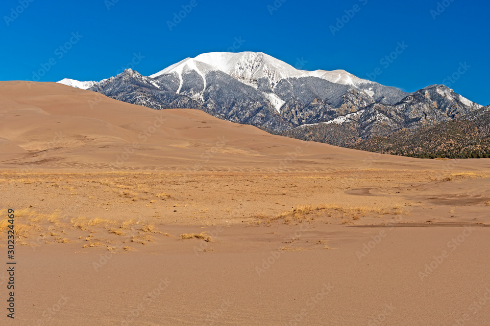 Sand Dunes and Snowy Mountains