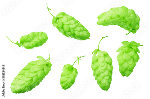 Green hops isolated on a white background. top view
