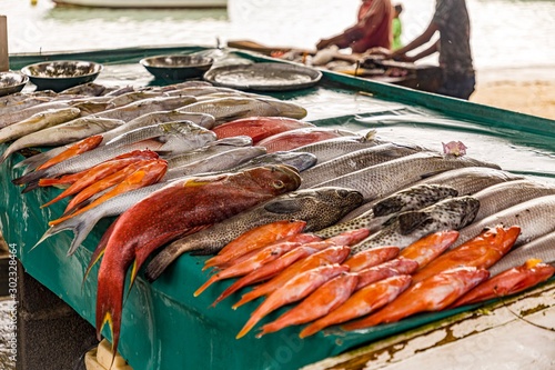 Fischmarkt, Grand Baie, Mauritius