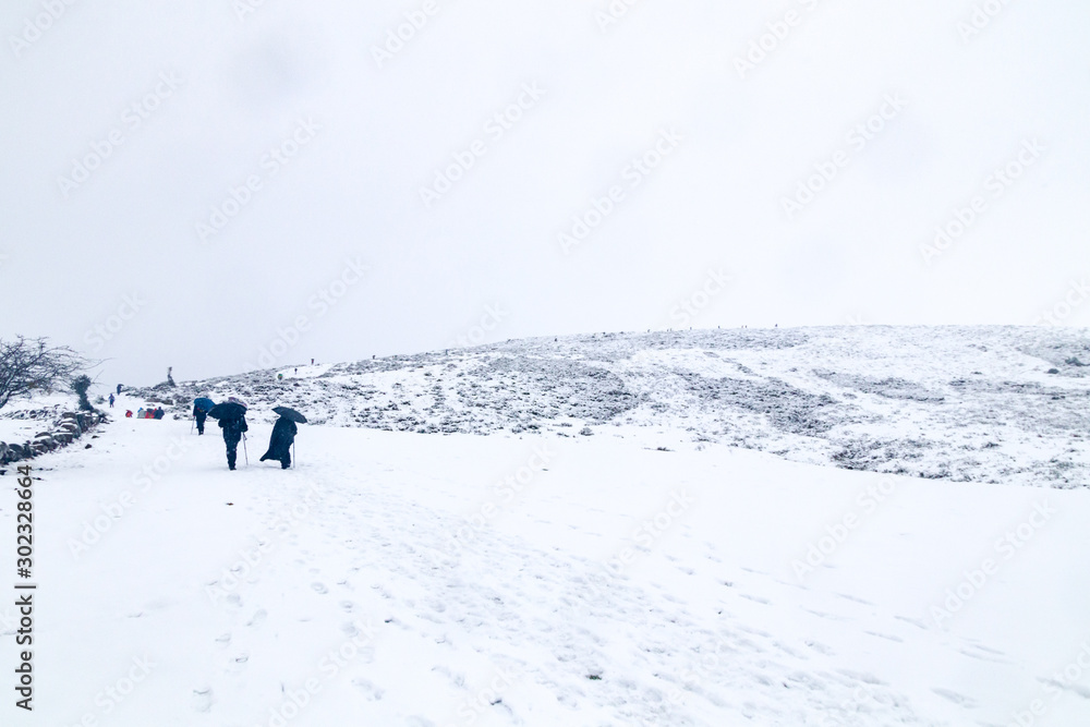 Hikers in snowy terrain