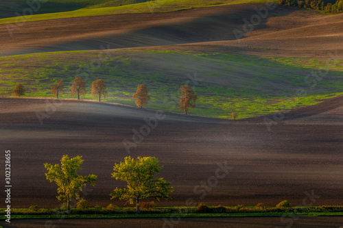 Autumn sunrise in the fields