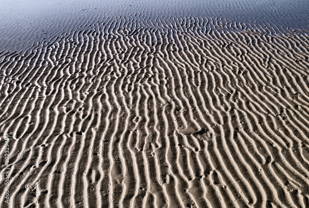Fototapeta premium Sand ripples detail, textured sand shapes close up, at low tide. High contrast, muted colors effect.