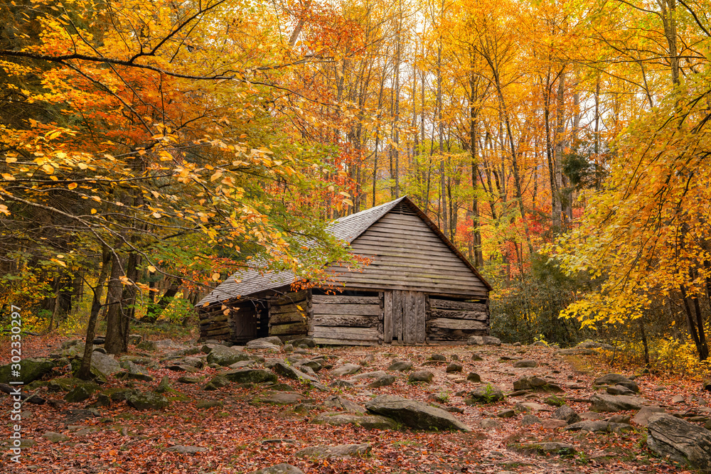 Old cabin in fall foliage Old cabin in fall foliage