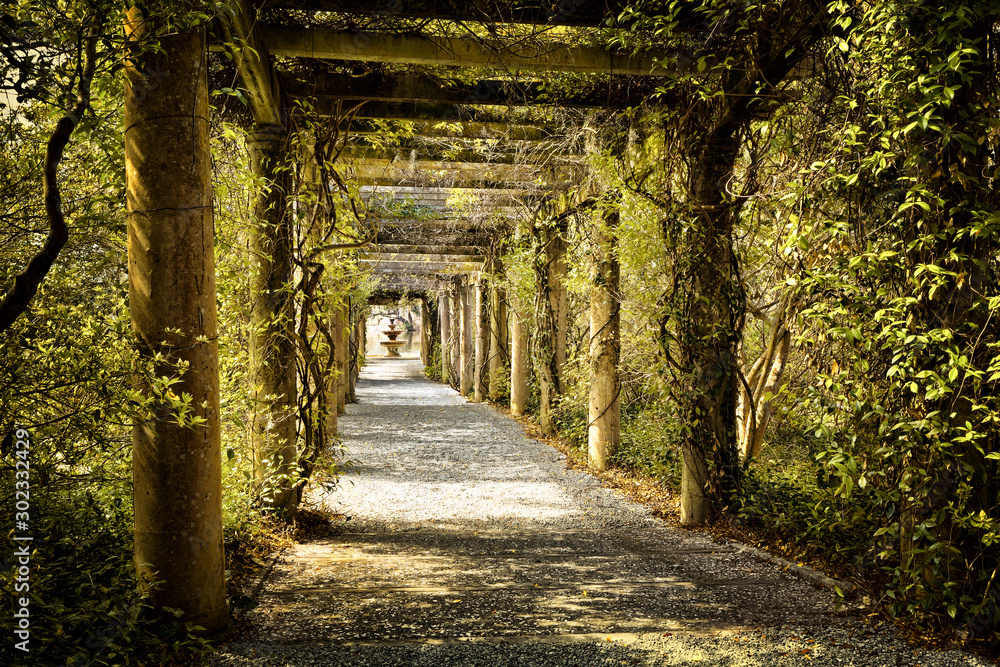 Very long arbor with fountain at he end