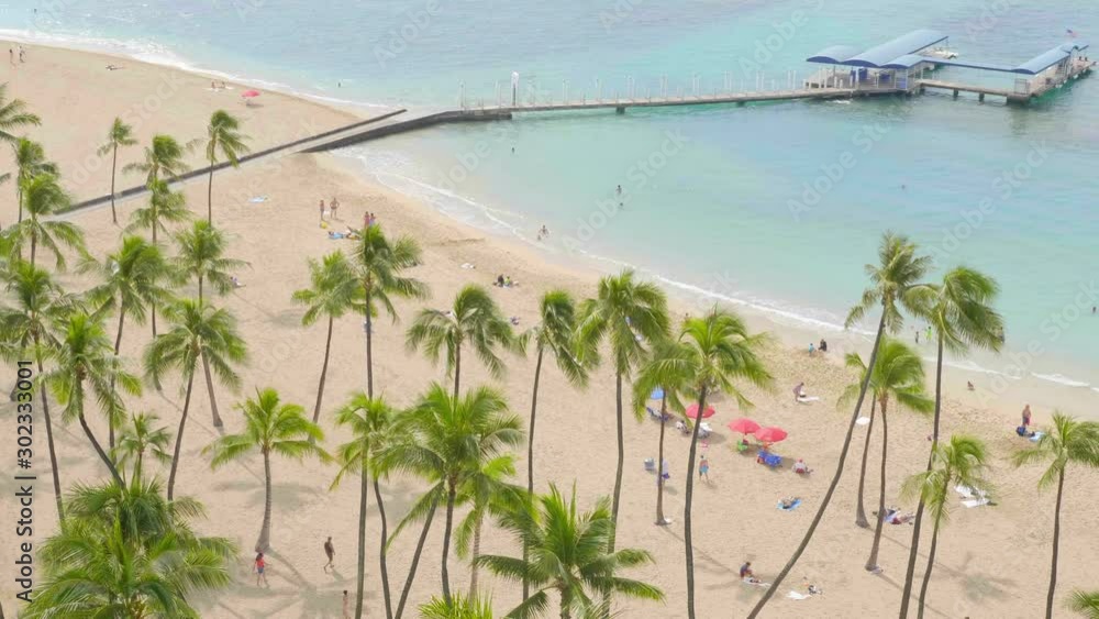 Beautiful palm trees by the ocean in 4K slow motion 60fps Beautiful palm trees by the ocean in 4K slow motion 60fps