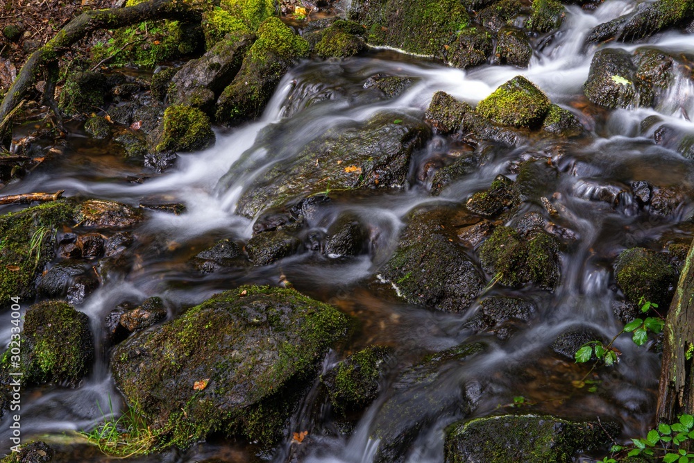 Stream and Running Water through forest with long exposure to create blurred water effects for textured background  with contrasting sharp rock and fern foreground images